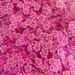 Bright Pink Daisies - 50g Clay Slices