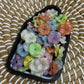 25pk Flower Spacers
