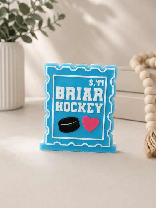 Briar Hockey - Bookshelf Decor