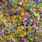 Mixed Butterflies - 50g Clay Slices