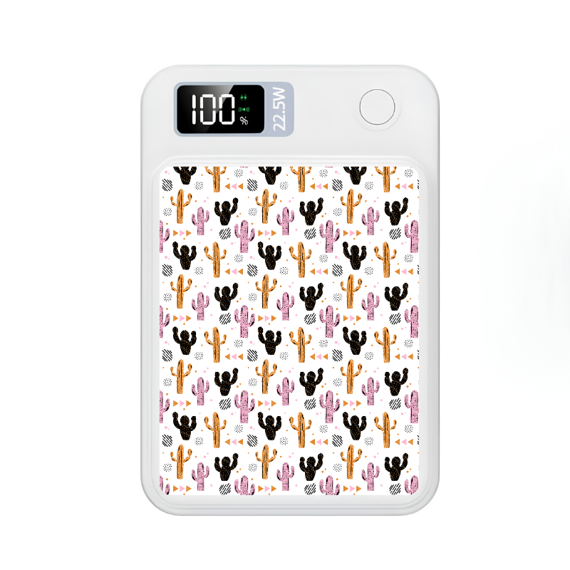 Cactus Cutie | MagSafe Power Bank