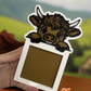Highland Cow Sticky Note Holder